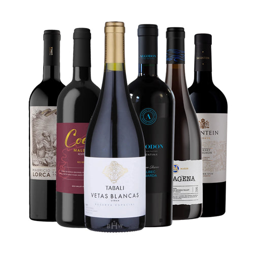 Taste of the Andes: 6 Exceptional Wines from Chile & Argentina