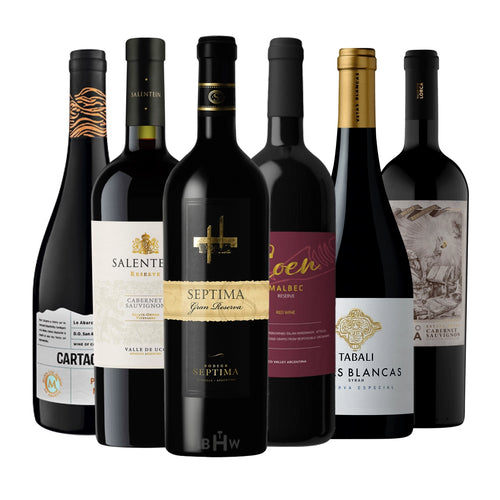 Taste of the Andes: 6 Exceptional Wines from Chile & Argentina