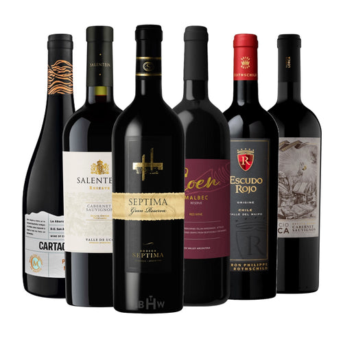 Taste of the Andes: 6 Exceptional Wines from Chile & Argentina