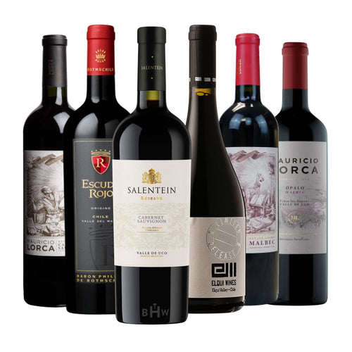 Taste of the Andes: 6 Exceptional Wines from Chile & Argentina