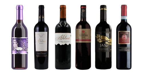 bighammerwines.com Red International Selection of 6 Premium Red Wines